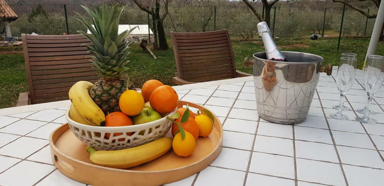 Casa Istria Βίλα Buje Εξωτερικό φωτογραφία
