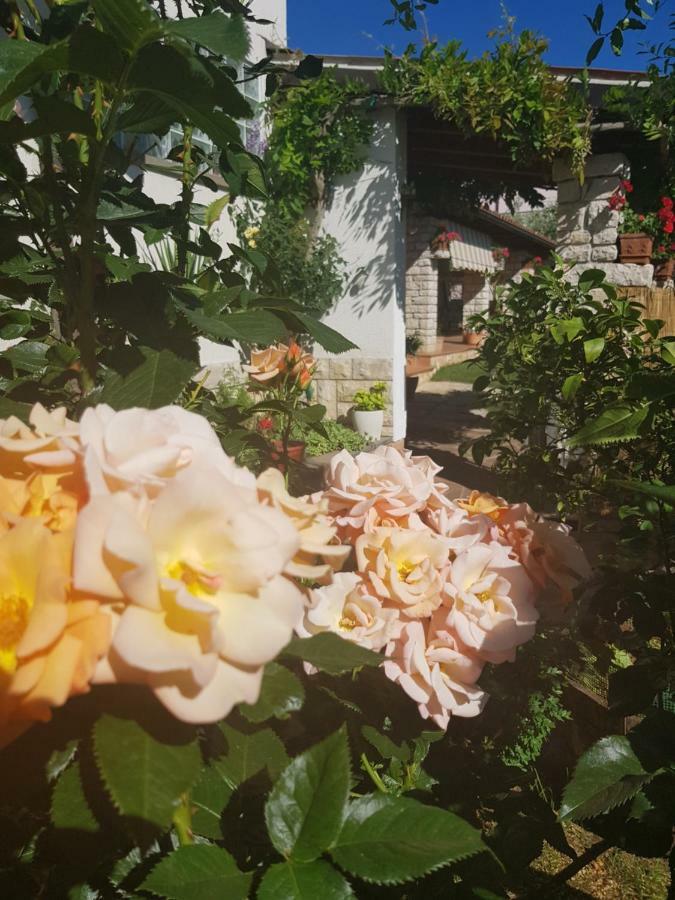 Casa Istria Βίλα Buje Εξωτερικό φωτογραφία